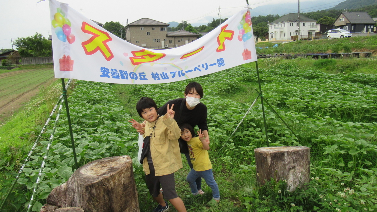f:id:murayama147:20210627185129j:plain