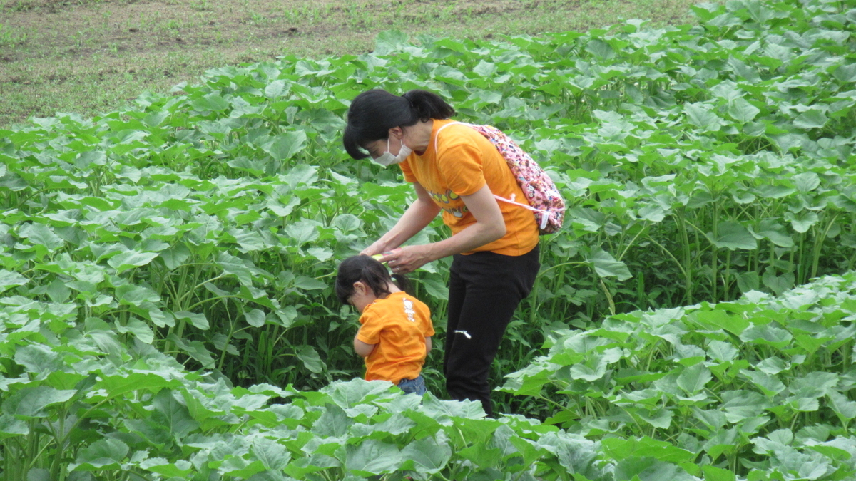f:id:murayama147:20210705185601j:plain