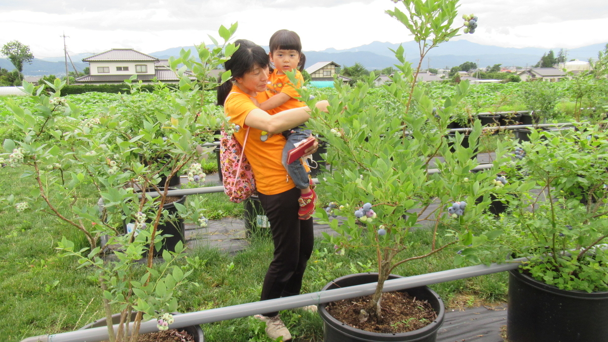 f:id:murayama147:20210705185902j:plain