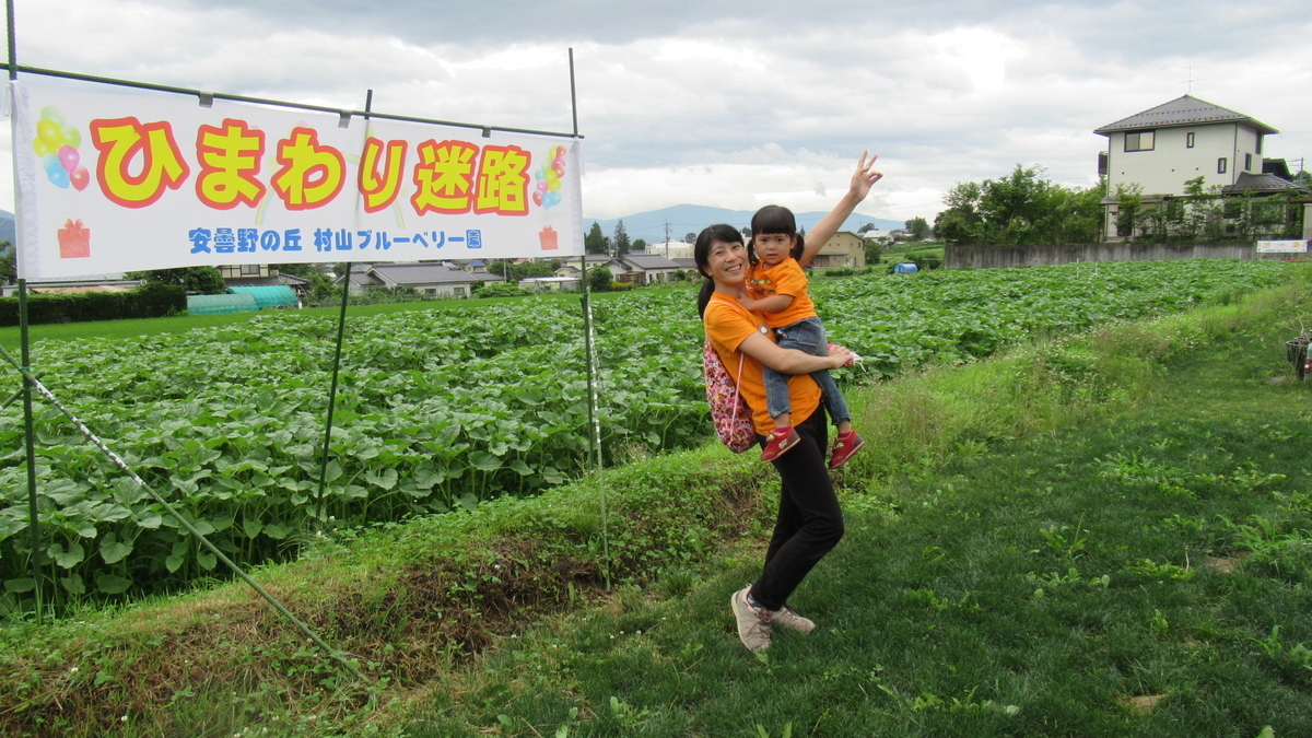 f:id:murayama147:20210705190153j:plain