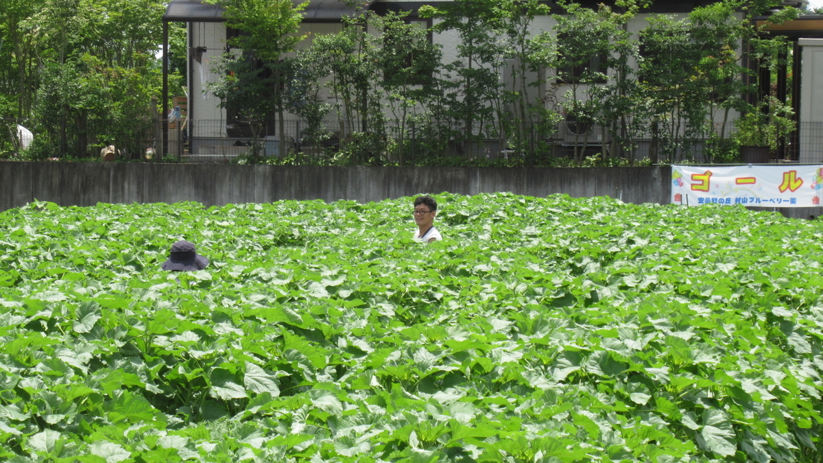 f:id:murayama147:20210714174730j:plain