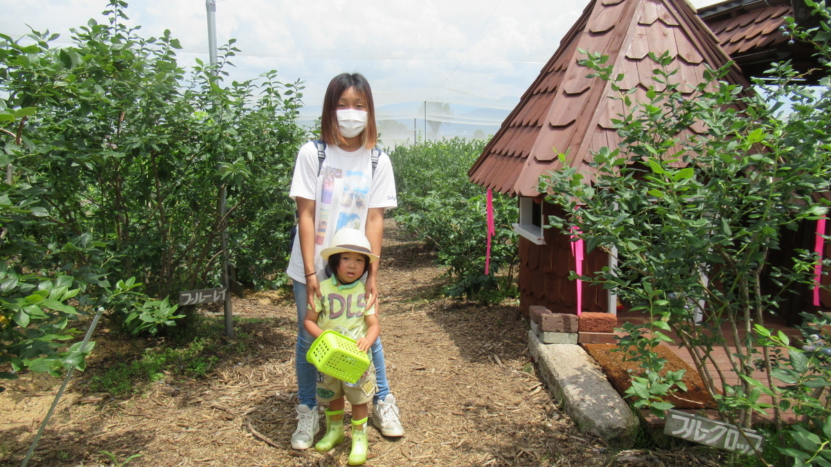 f:id:murayama147:20210714180213j:plain