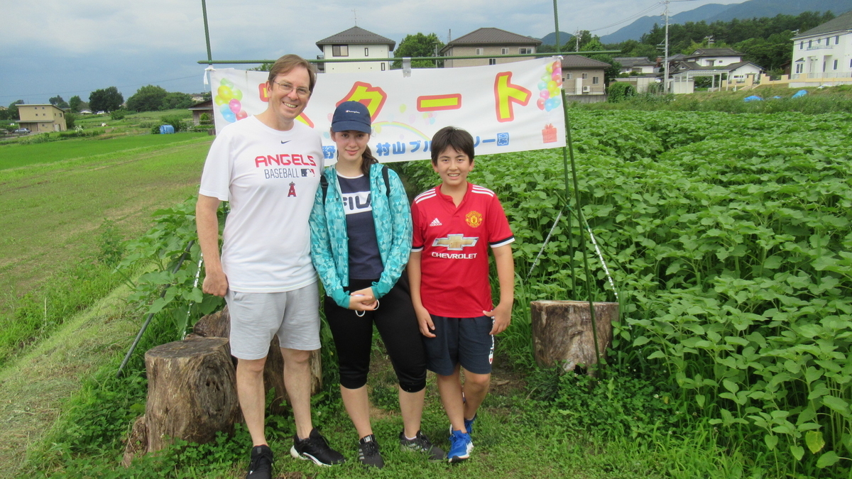f:id:murayama147:20210714180241j:plain