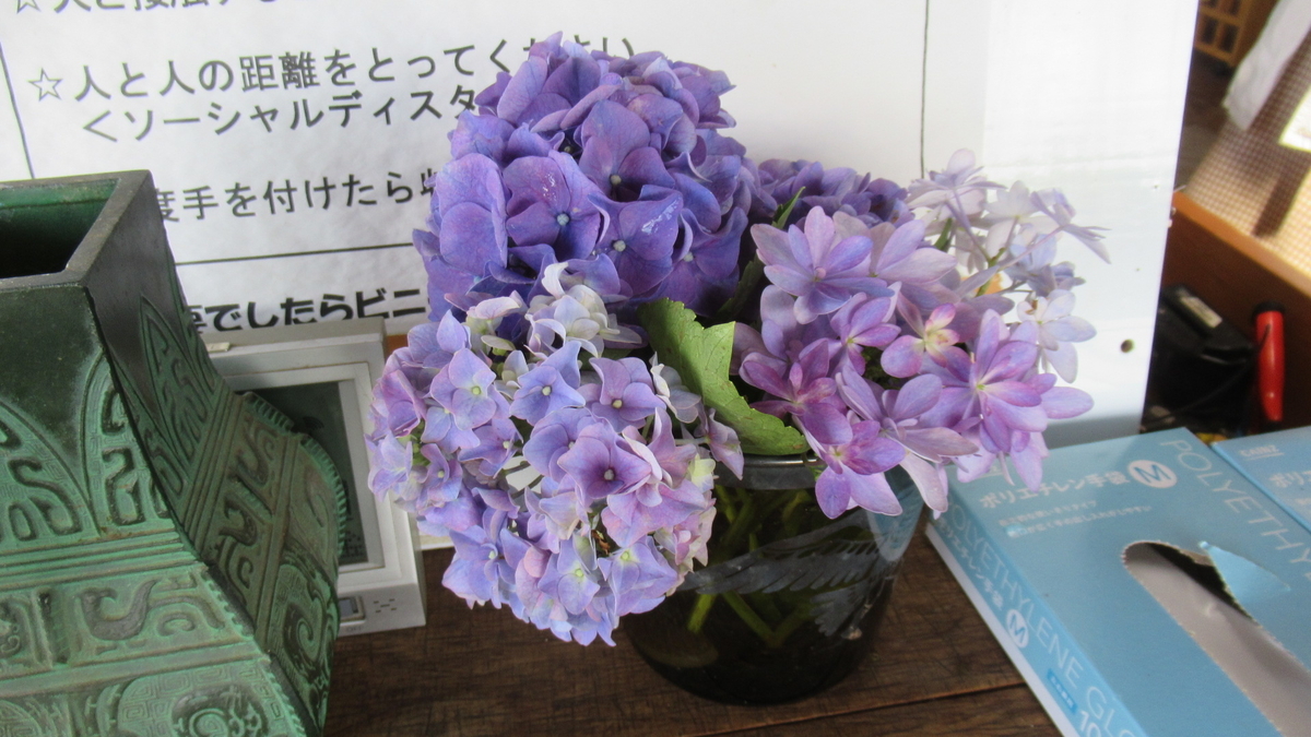f:id:murayama147:20210716203206j:plain