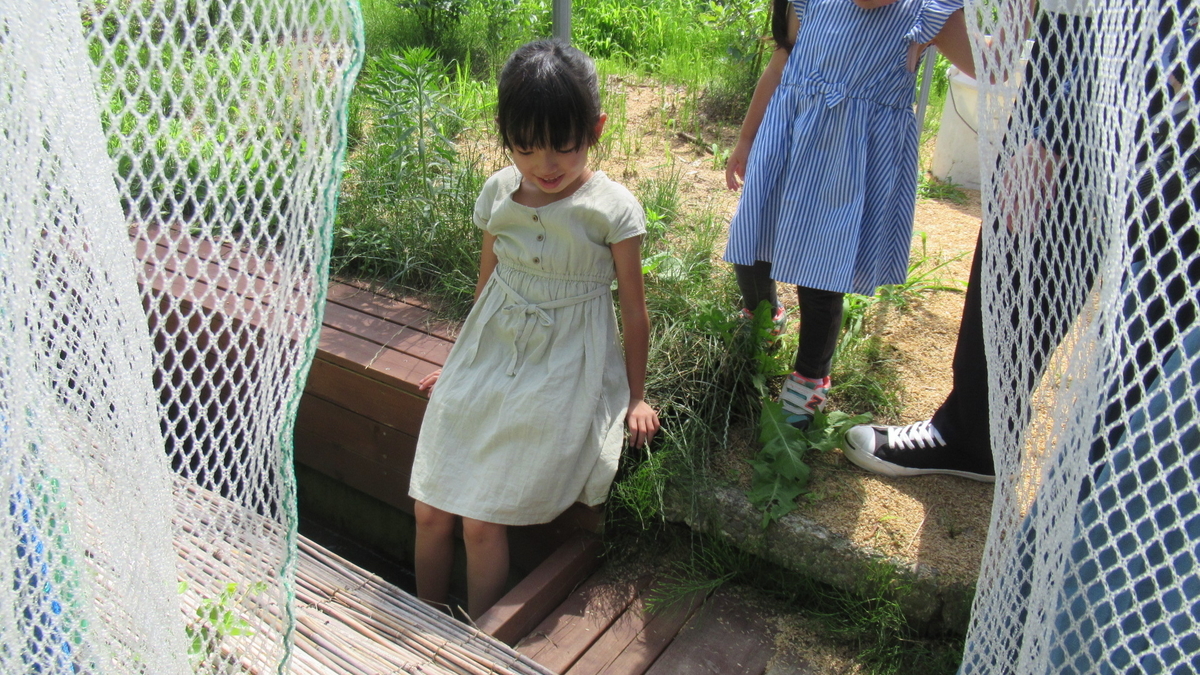 f:id:murayama147:20210716203448j:plain