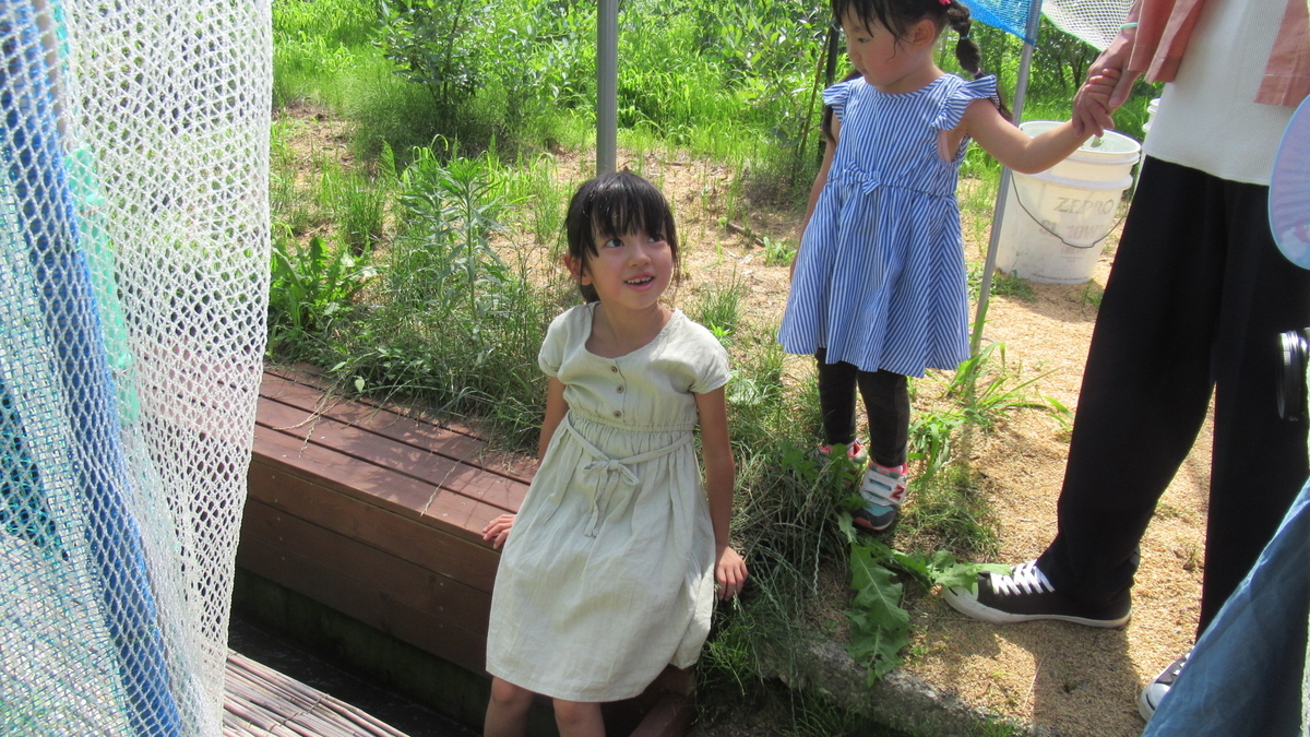 f:id:murayama147:20210716203453j:plain