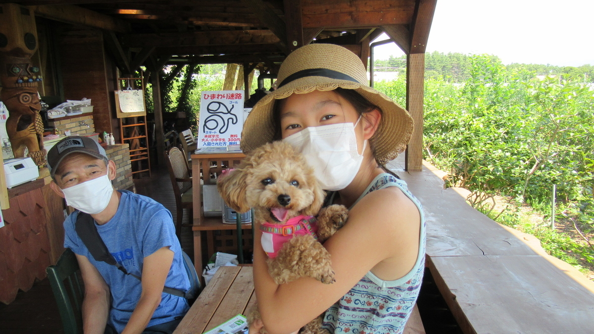 f:id:murayama147:20210805180139j:plain