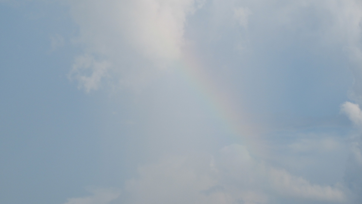 f:id:murayama147:20210805181033j:plain