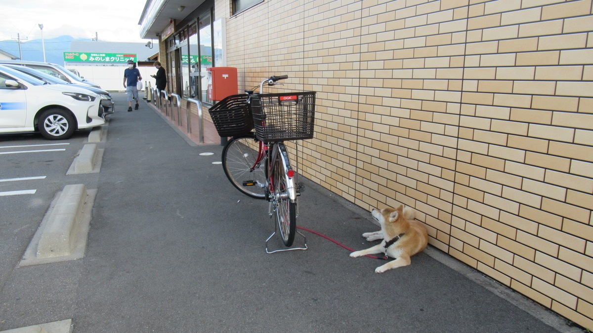 f:id:murayama147:20210825174804j:plain