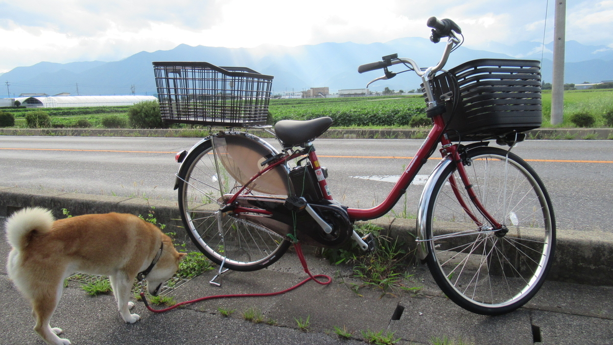 f:id:murayama147:20210825175028j:plain