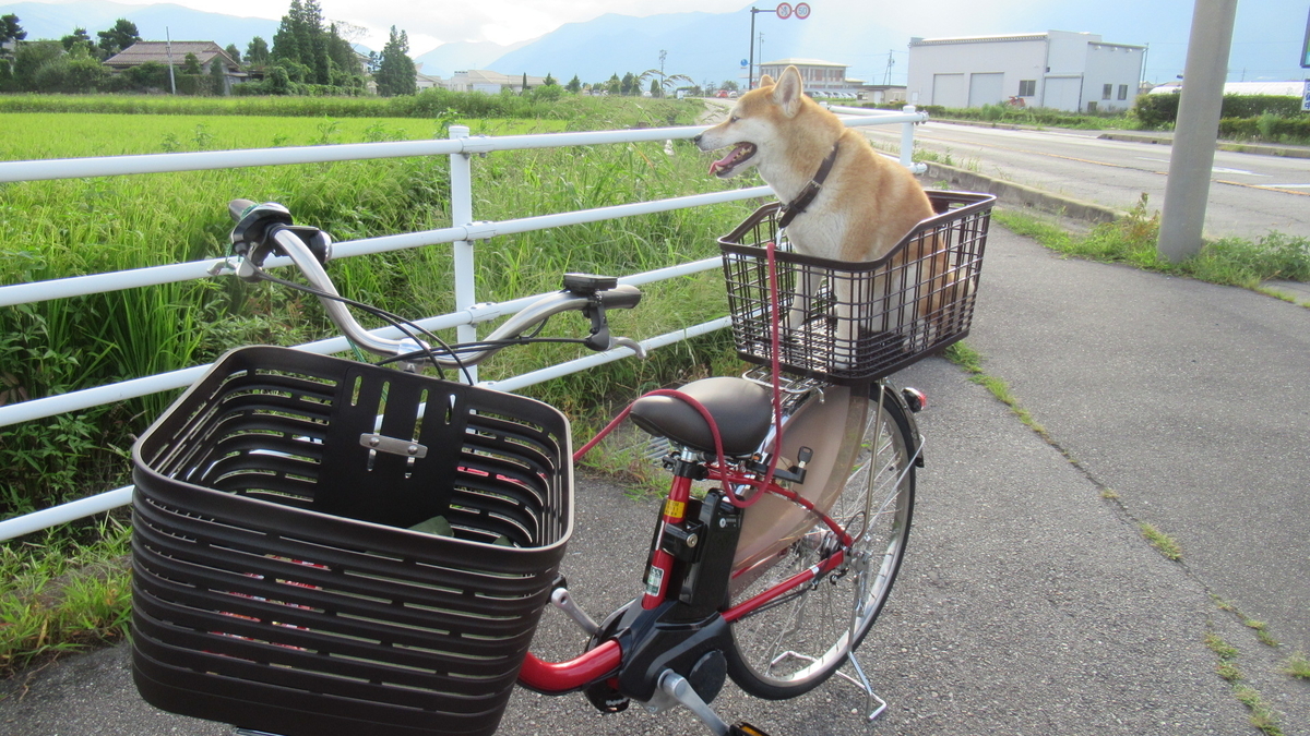 f:id:murayama147:20210825175242j:plain