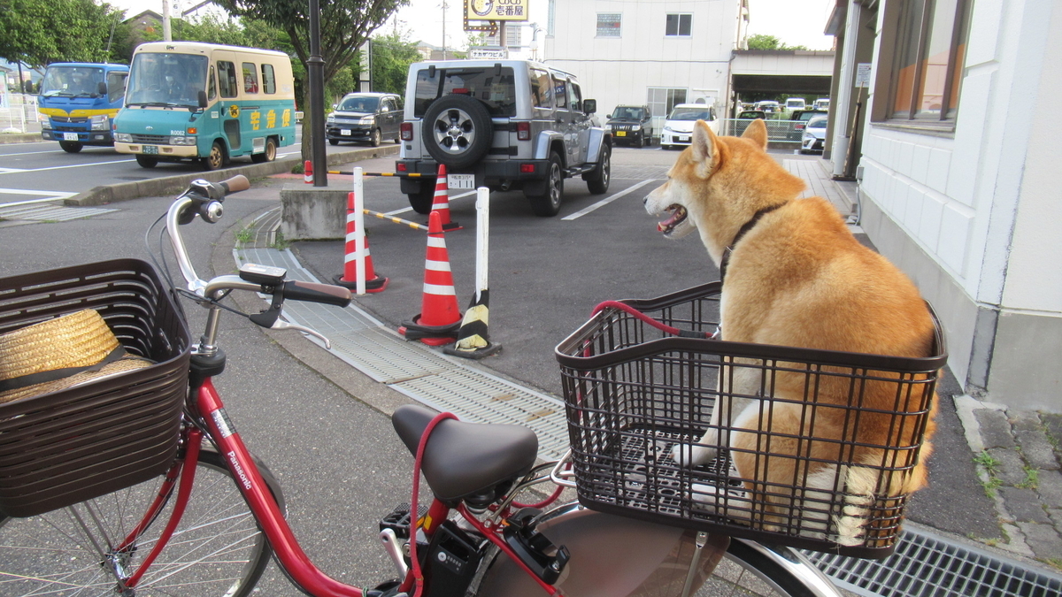 f:id:murayama147:20210825175407j:plain