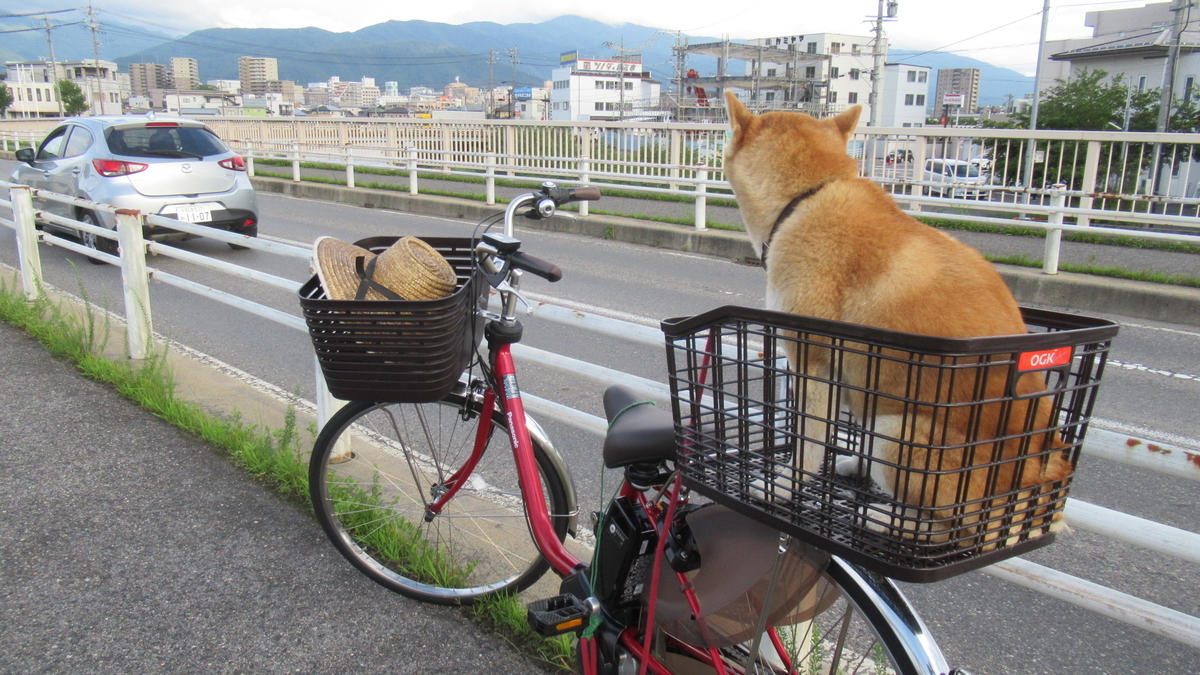 f:id:murayama147:20210825175413j:plain