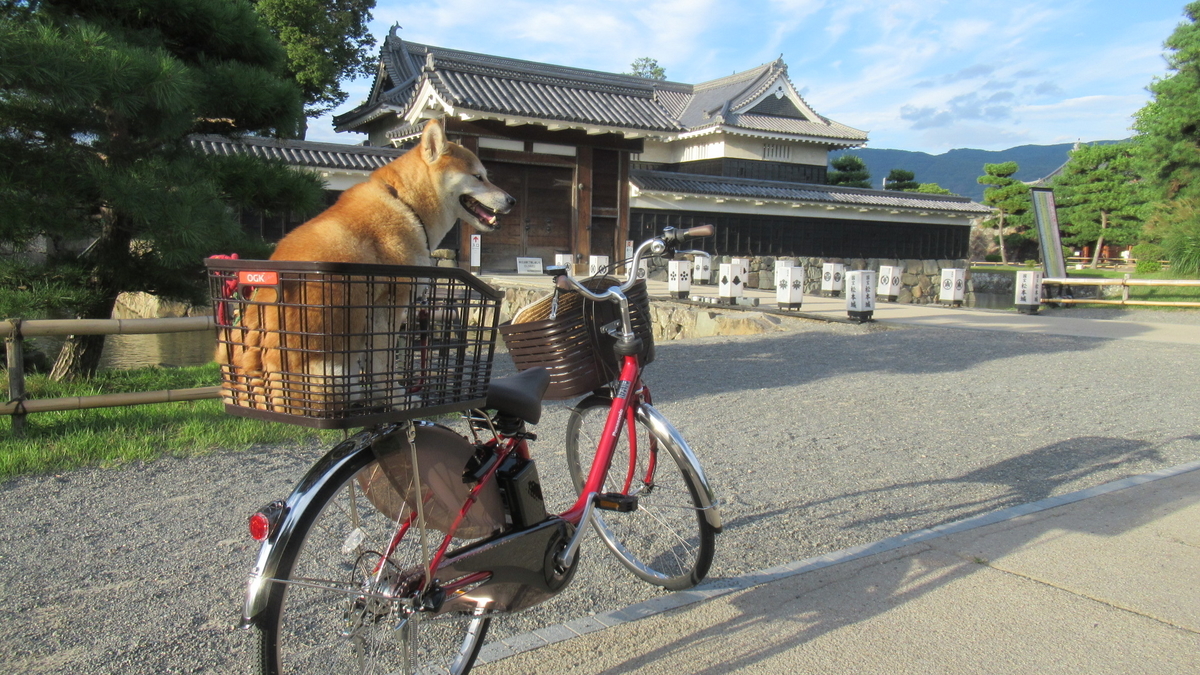 f:id:murayama147:20210825175517j:plain