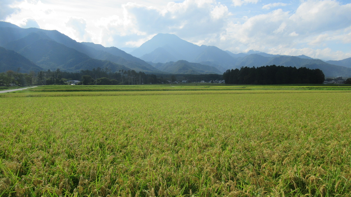 f:id:murayama147:20210830202856j:plain