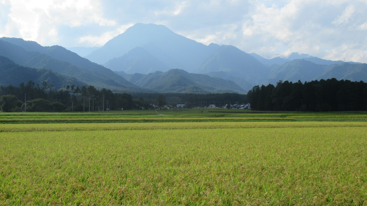 f:id:murayama147:20210830202902j:plain