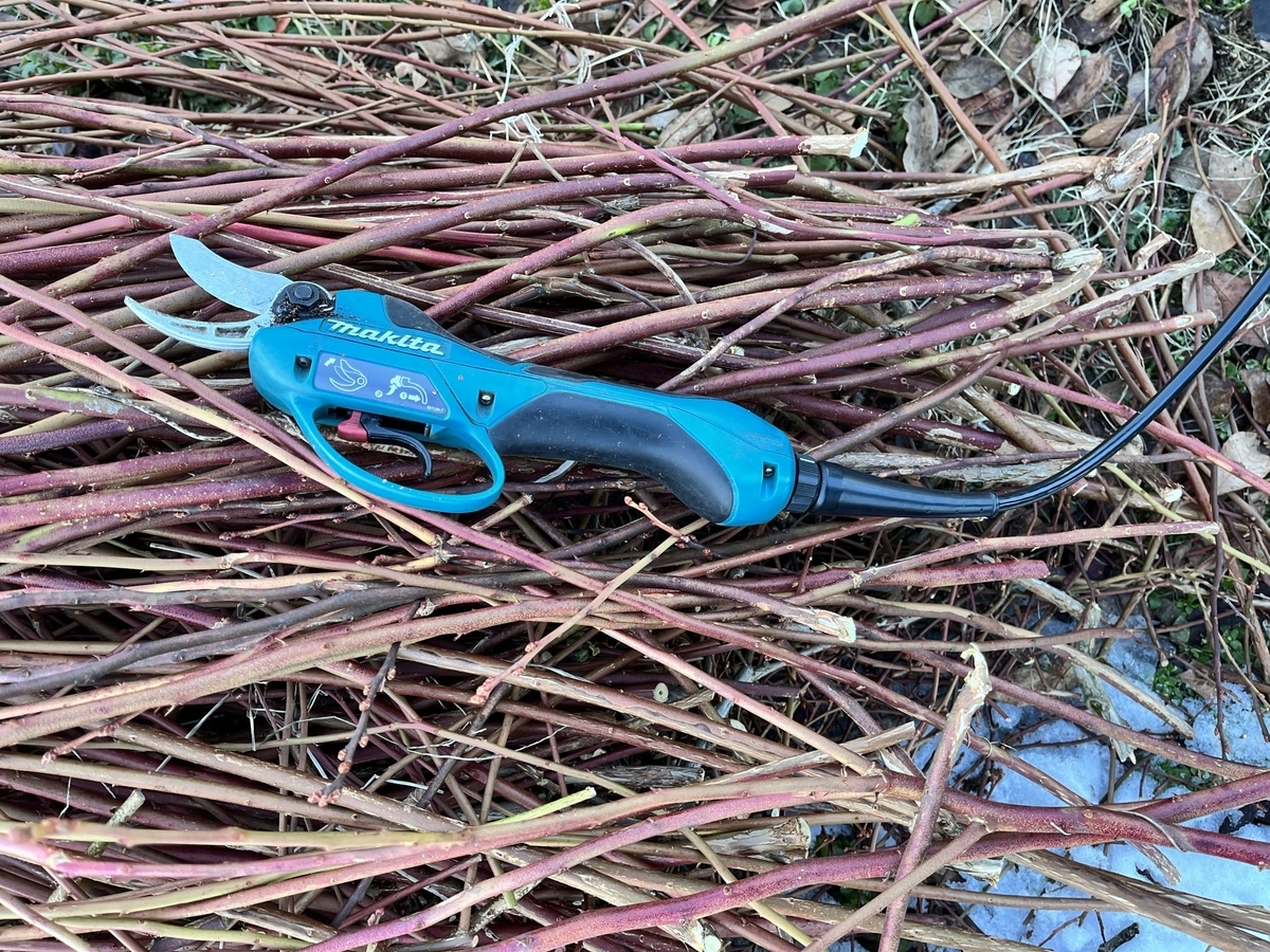 f:id:murayama147:20220201022533j:plain