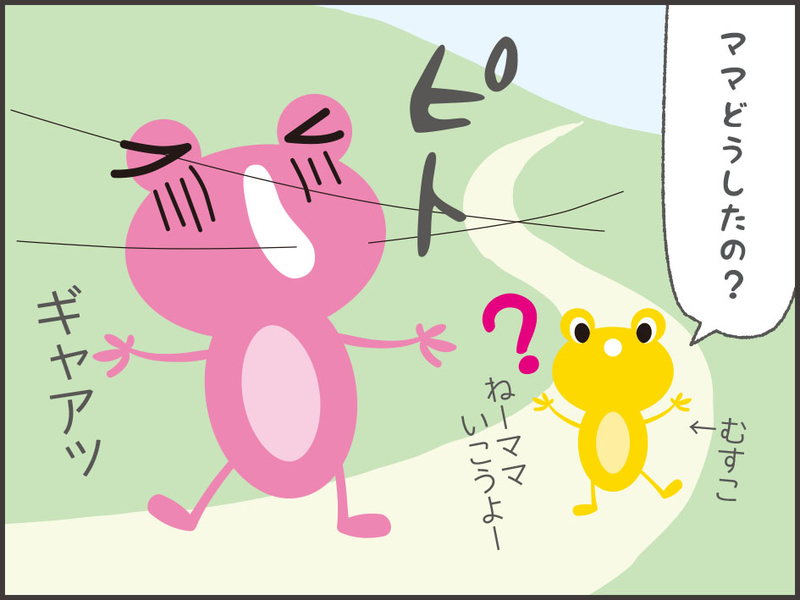 道でも蜘蛛の巣