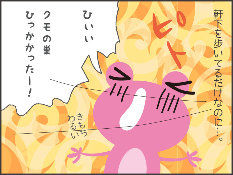 蜘蛛の巣の襲来
