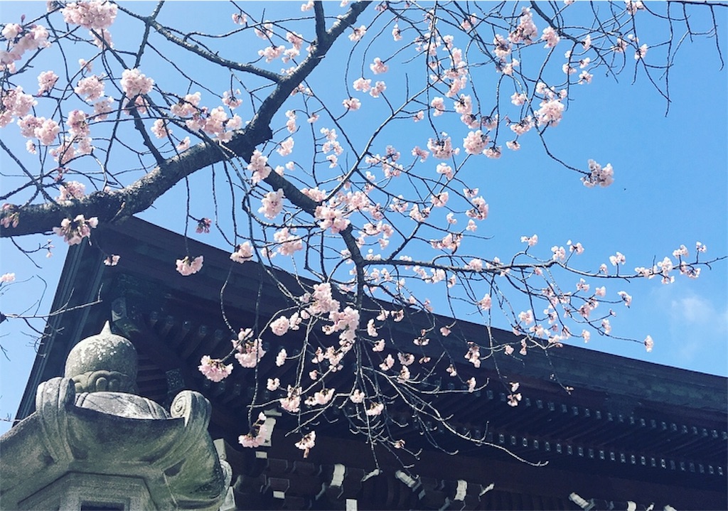 f:id:murayu24:20180313153801j:image f:id:murayu24:20180313153801j:image