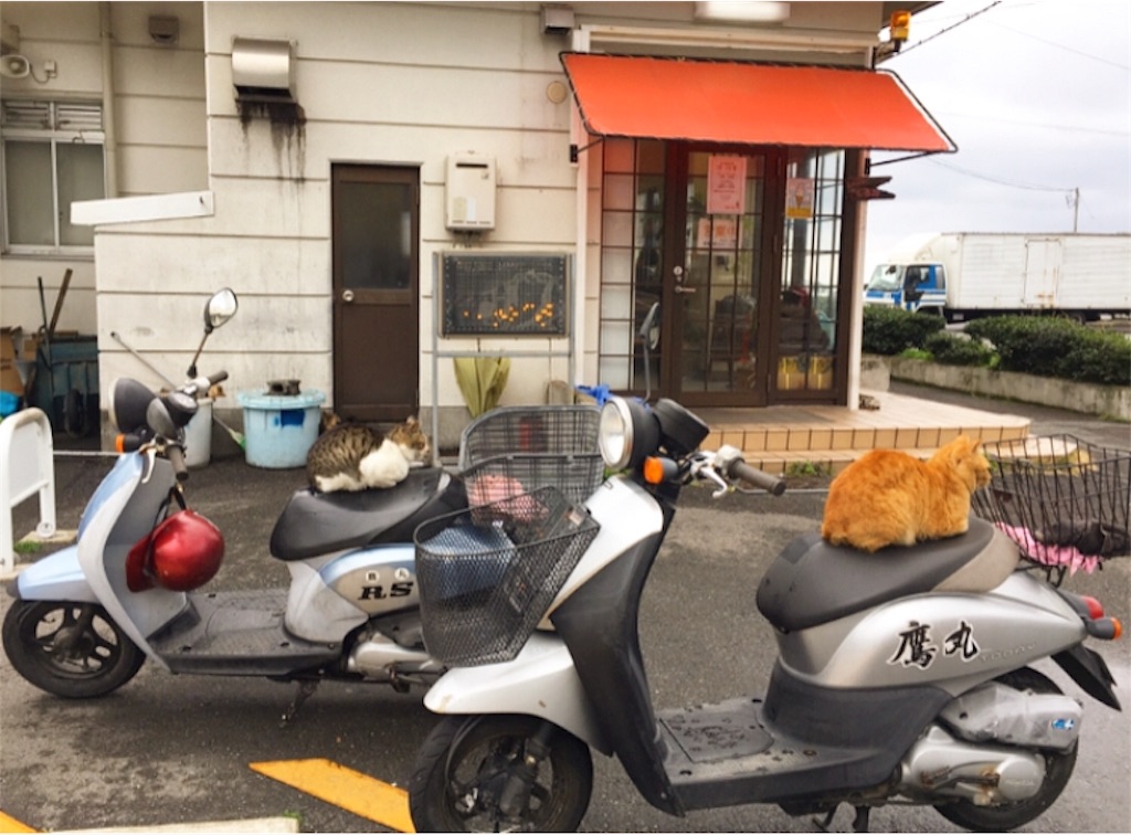 f:id:murayu24:20180314231134j:image f:id:murayu24:20180314231134j:image