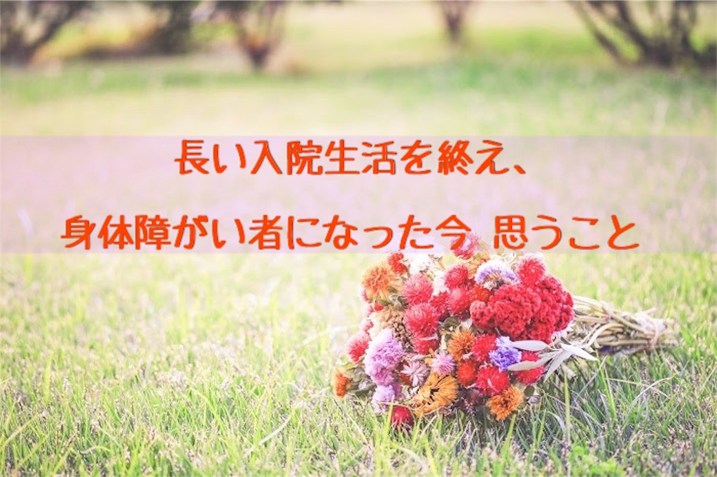 f:id:murayuka:20171105104657j:image