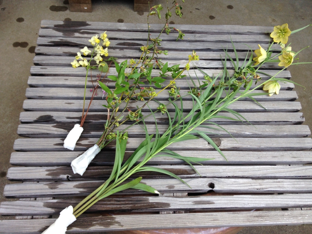 f:id:murenosatouueki:20160329120146j:plain f:id:murenosatouueki:20160329120146j:plain