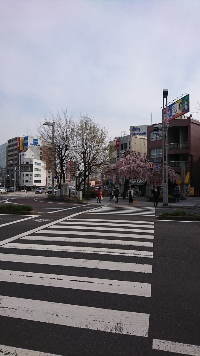 f:id:murimurichan:20190415195032j:plain f:id:murimurichan:20190415195032j:plain