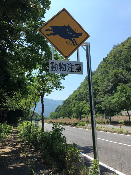 f:id:murio_vives:20180721220358j:plain