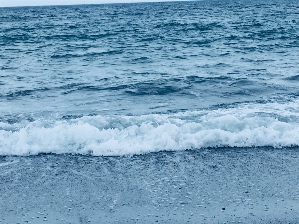 f:id:muriyada444:20180805123128j:image