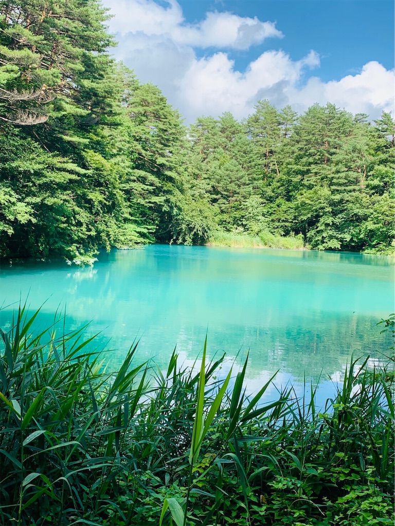 f:id:muriyada444:20190804225411j:image