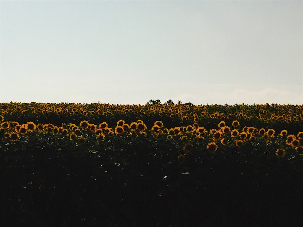 f:id:muriyada444:20190818160159j:image