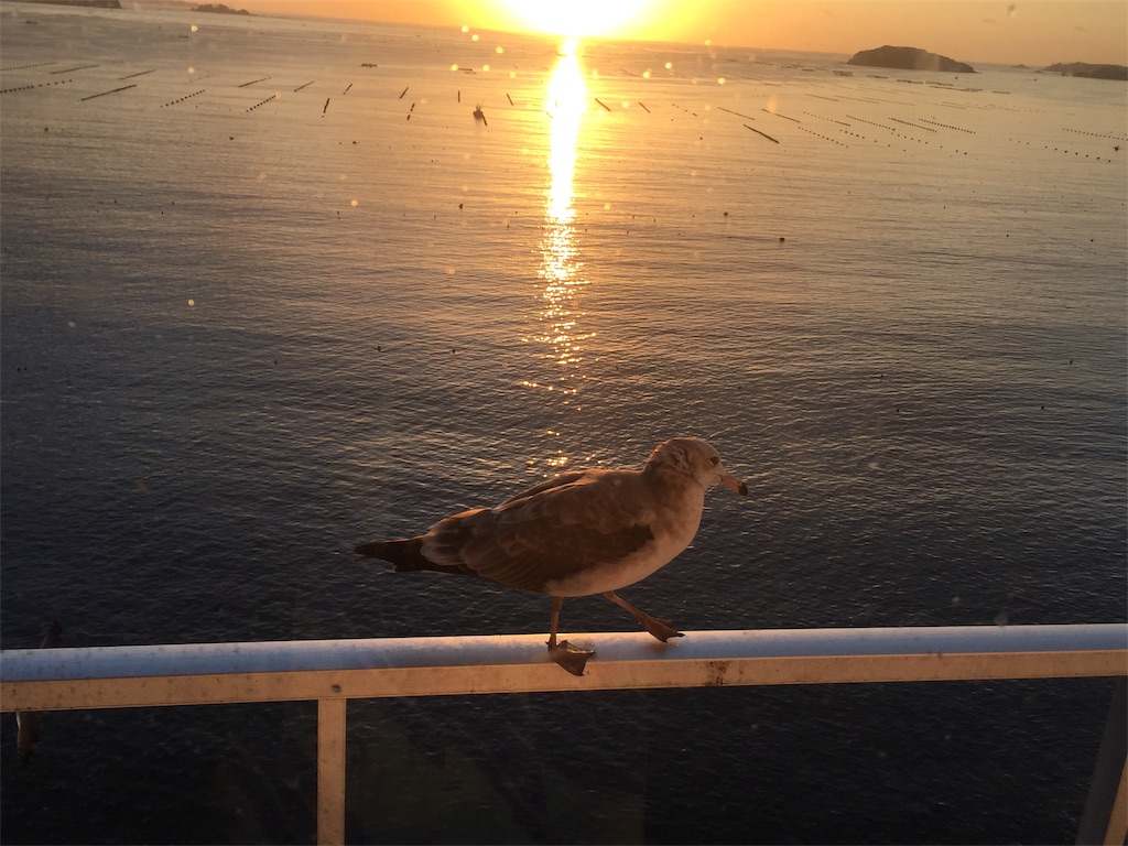 f:id:muriyada444:20190919223201j:image