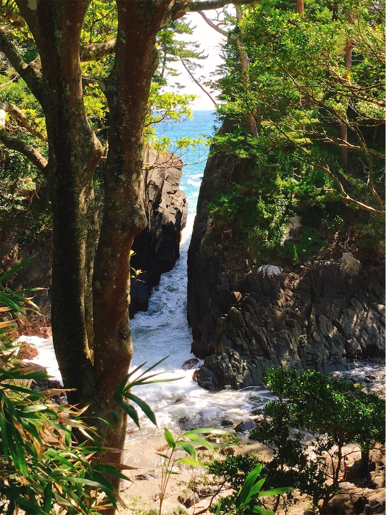 f:id:muriyada444:20190920203918j:image