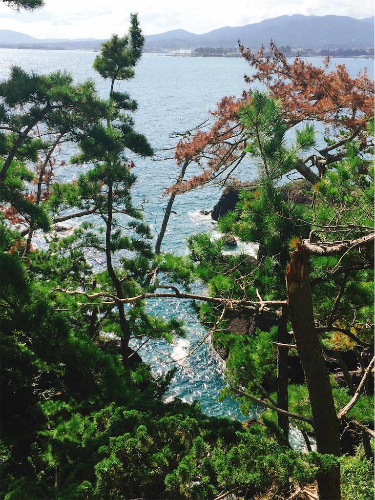 f:id:muriyada444:20190920204907j:image