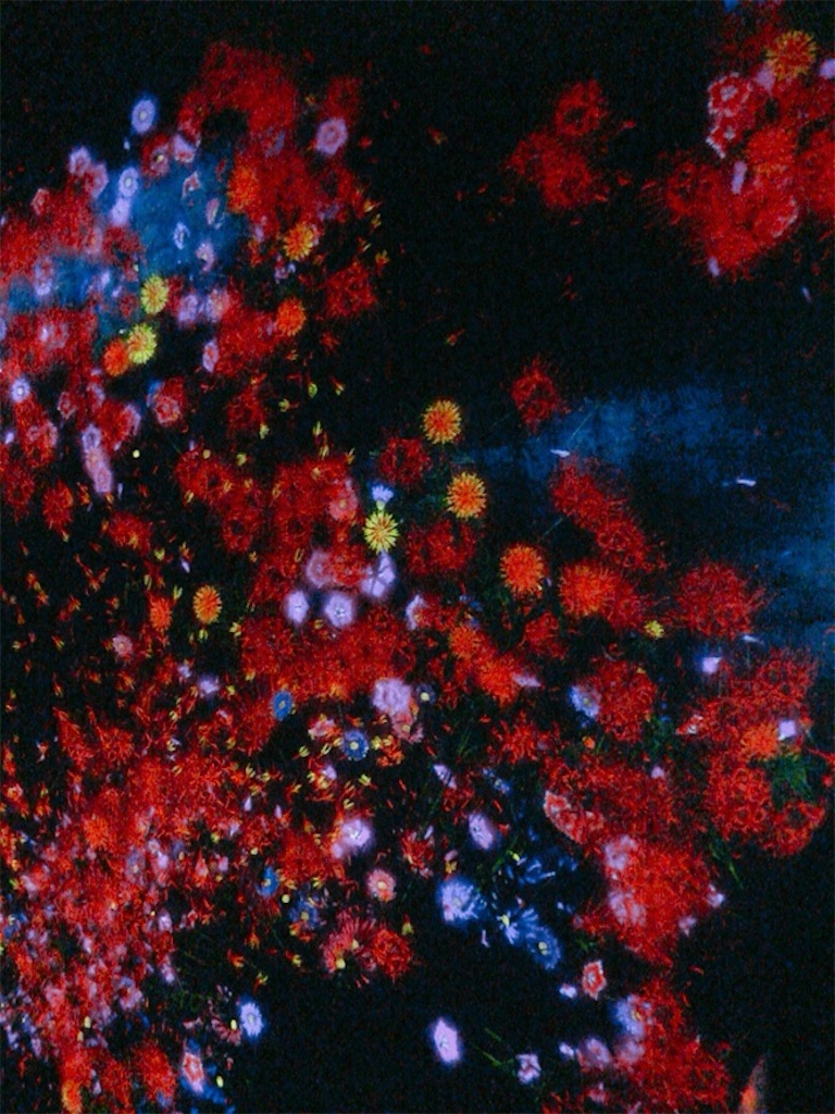 f:id:muriyada444:20200216182550j:image f:id:muriyada444:20200216182550j:image