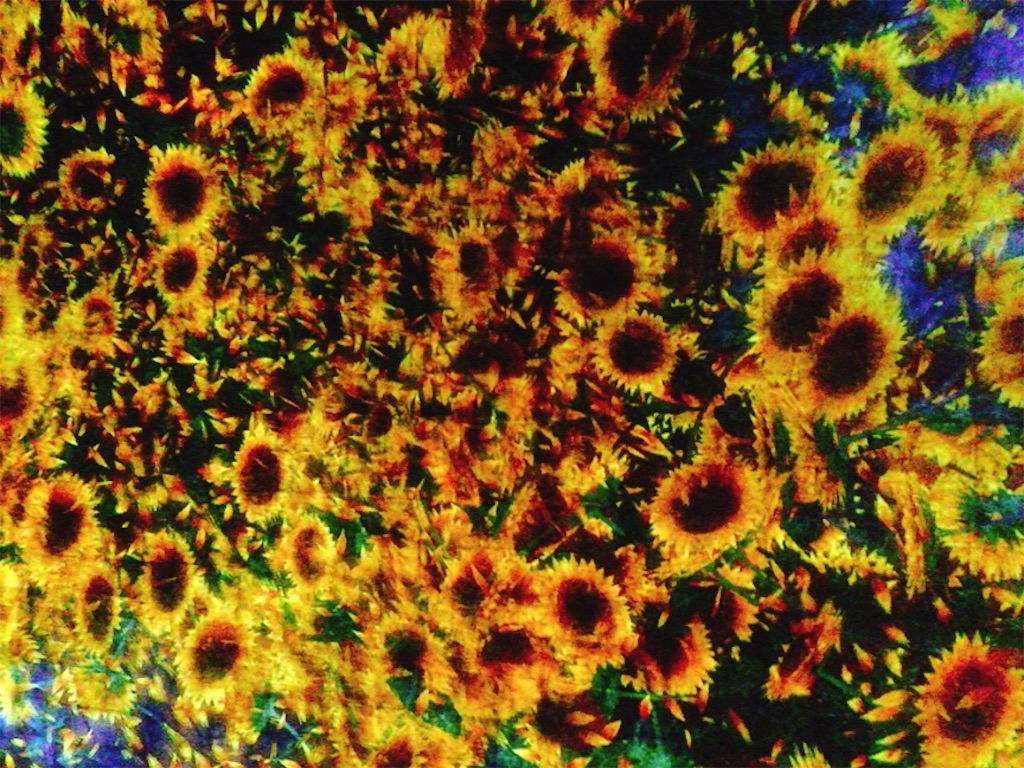 f:id:muriyada444:20200216182609j:image f:id:muriyada444:20200216182609j:image