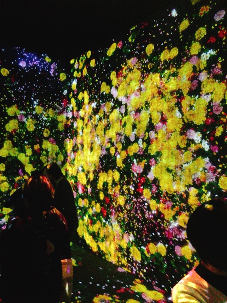 f:id:muriyada444:20200216182615j:image f:id:muriyada444:20200216182615j:image