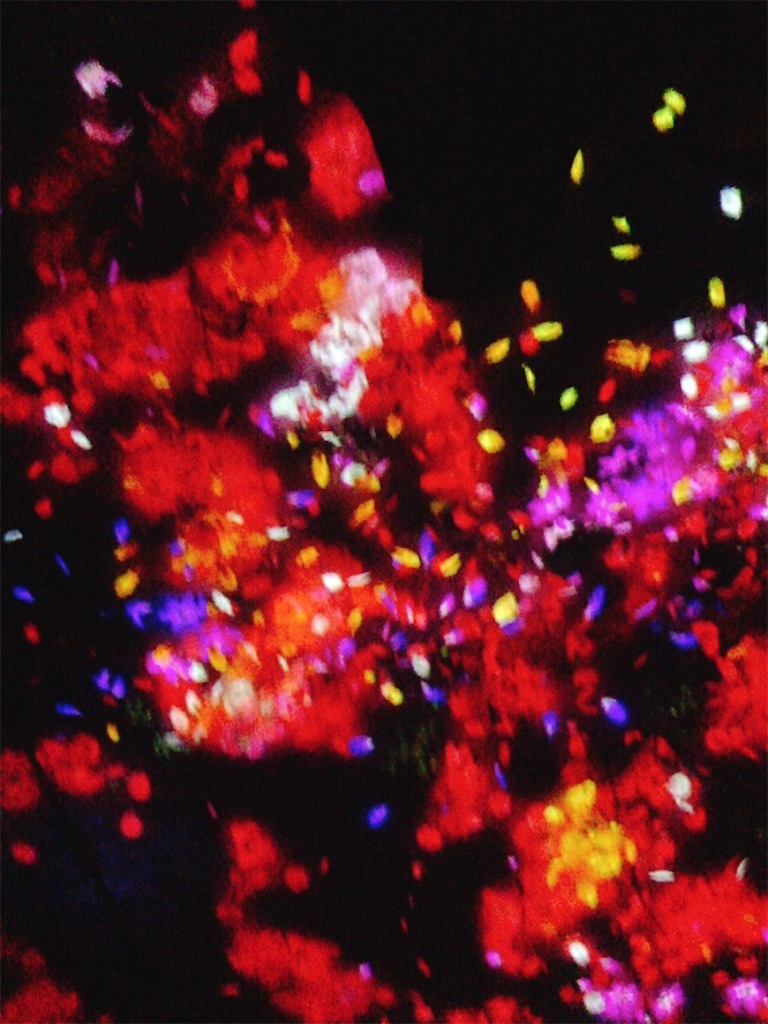 f:id:muriyada444:20200216182618j:image f:id:muriyada444:20200216182618j:image