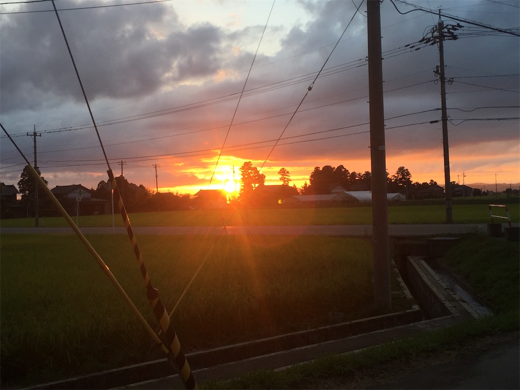 f:id:muriyada444:20210507032047j:image