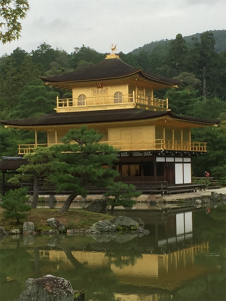 f:id:muriyada444:20210507033526j:image
