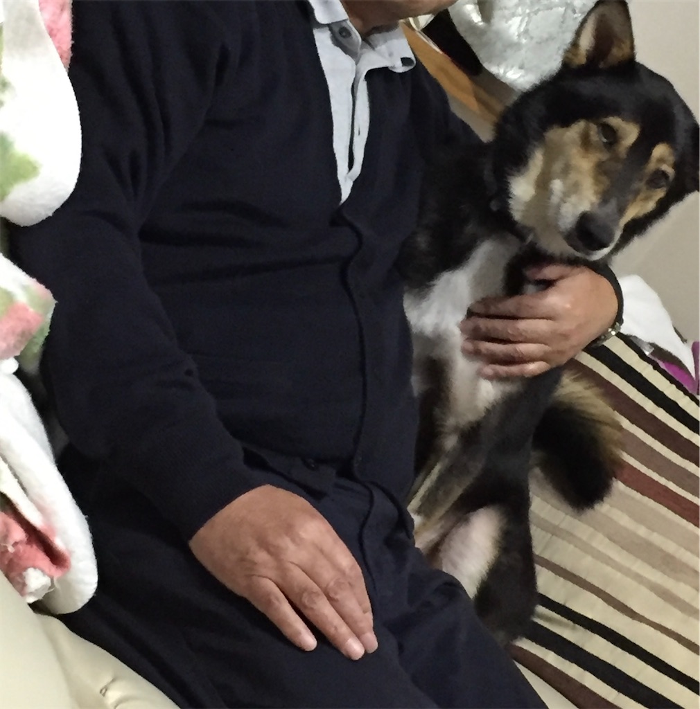 f:id:muriyada444:20220917155659j:image