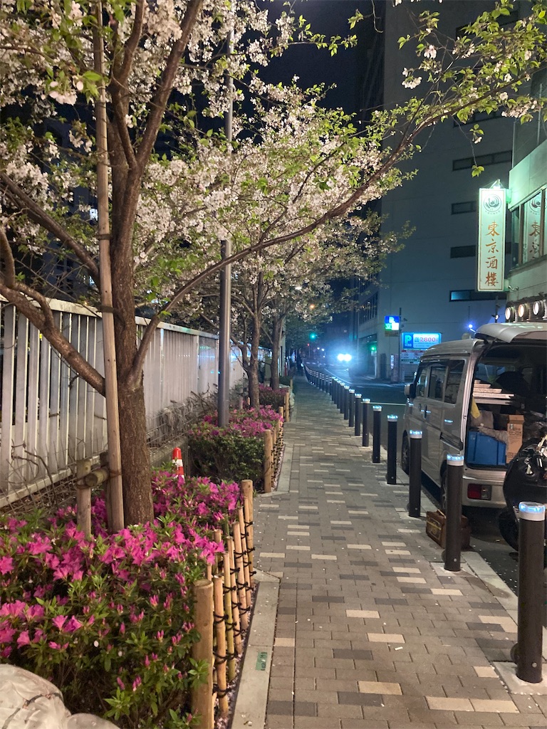 f:id:muriyada444:20230404081202j:image