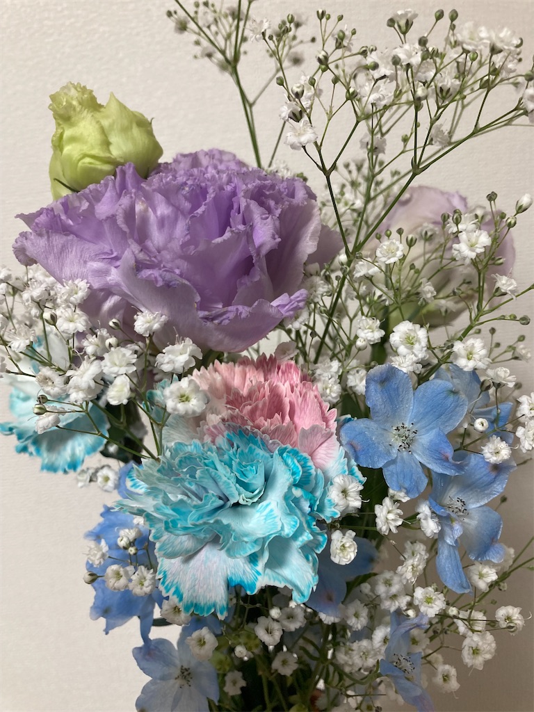 f:id:muriyada444:20230404081208j:image