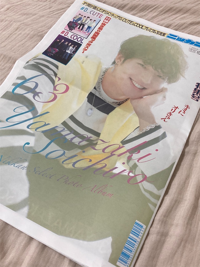 f:id:muriyada444:20230621075932j:image