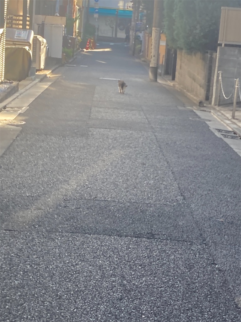 f:id:muriyada444:20231210170223j:image