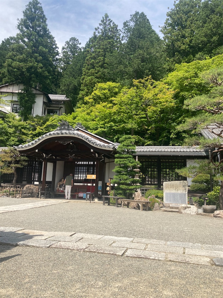 f:id:muriyada444:20250608193417j:image