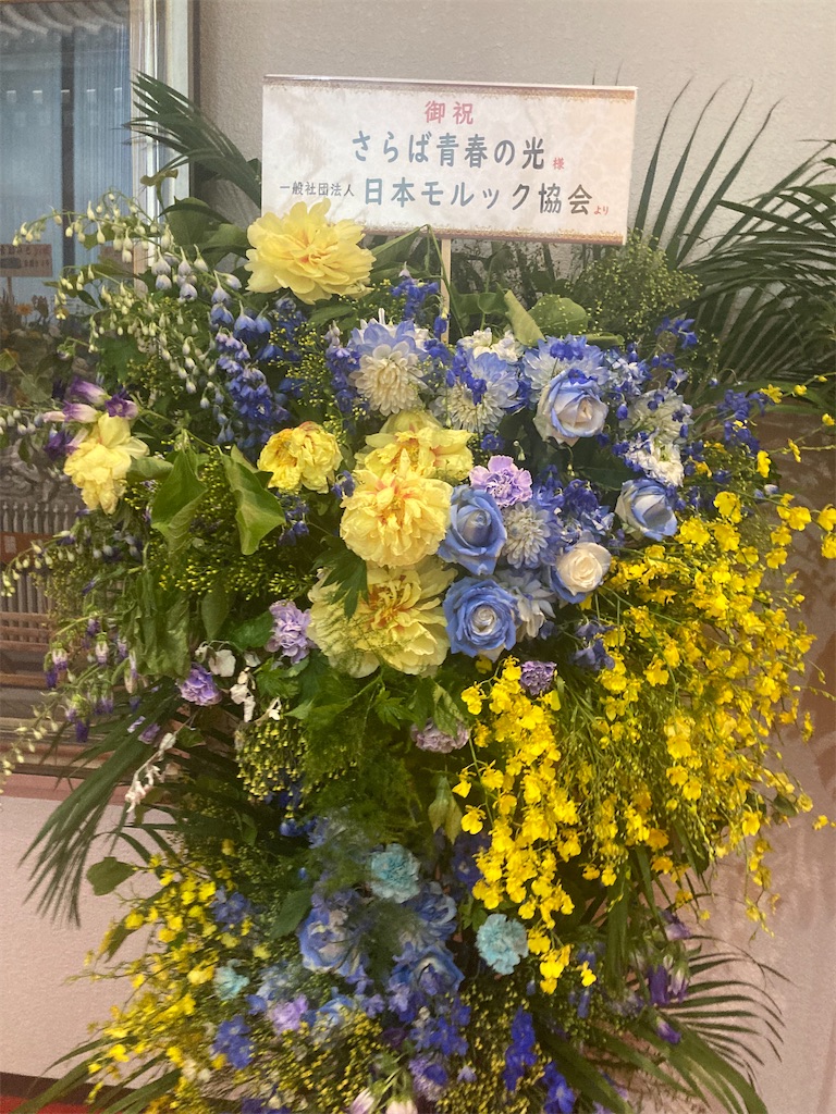 f:id:muriyada444:20250608194610j:image