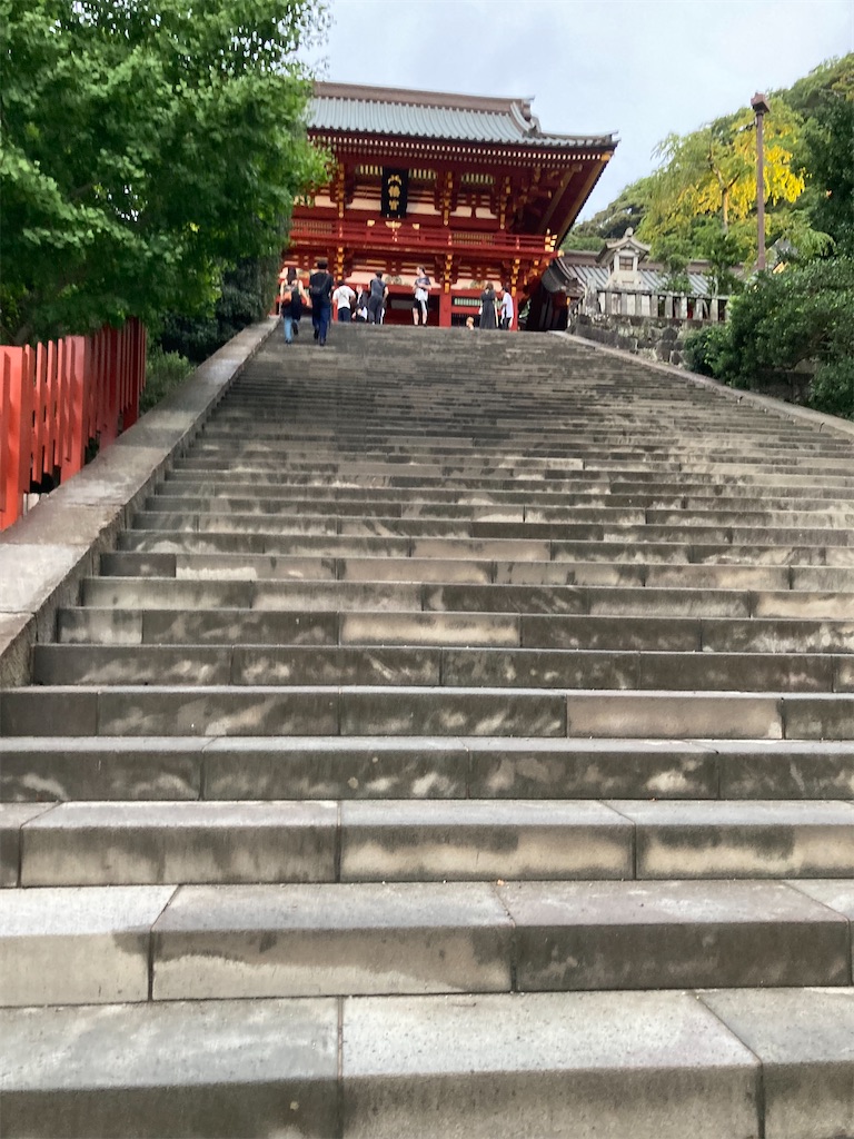 f:id:muriyada444:20250814200937j:image