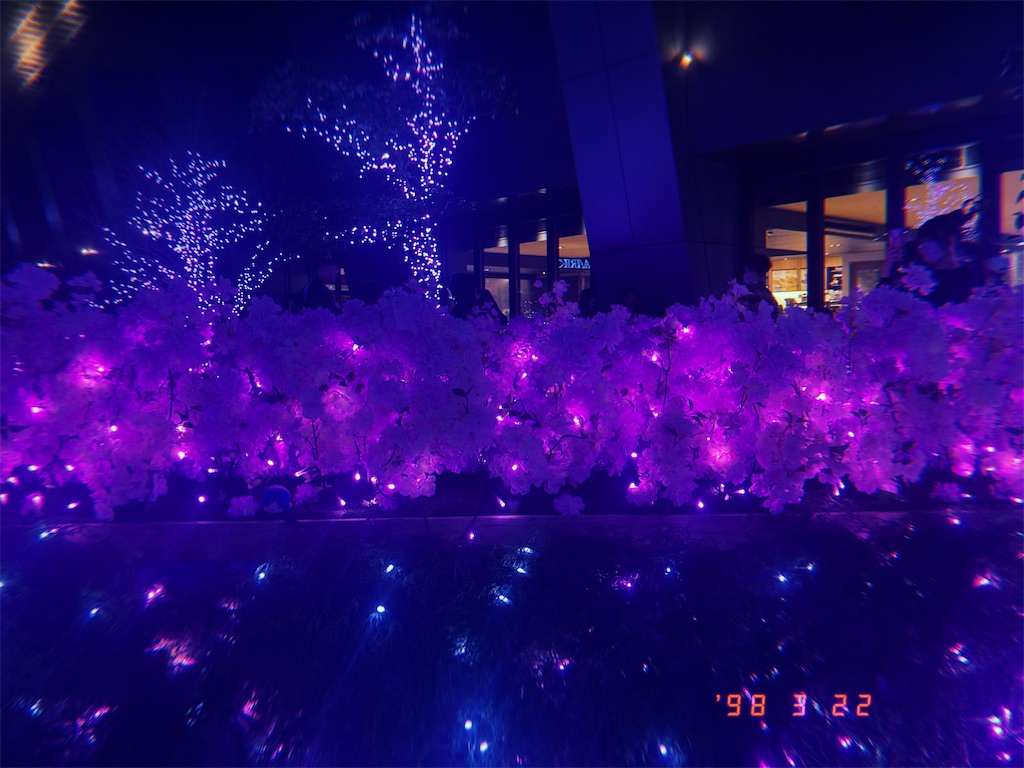 f:id:muriyada444:20251231132024j:image
